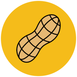 خشکبار